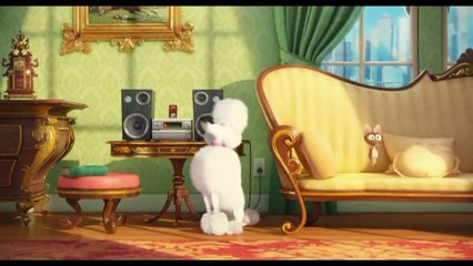 Горячее в COUB 19.12 - mix#12 / HOT in COUB - mix#12