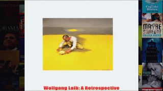 Wolfgang Laib A Retrospective