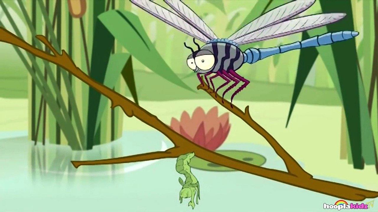I'm a Dragonfly