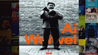 Ai Weiwei So Sorry