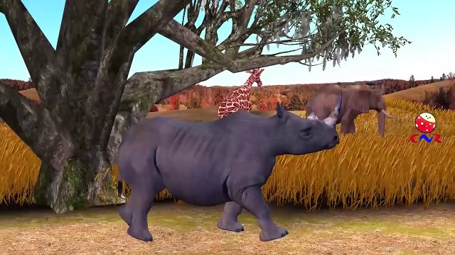 Finger Family Nursery Rhymes for Children Rhinoceros Cartoon | Finger Family Children Nurs