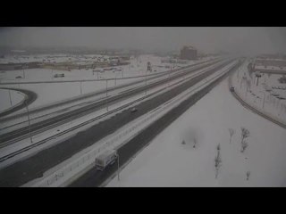 Un harfang des neiges filmé par une caméra de surveillance