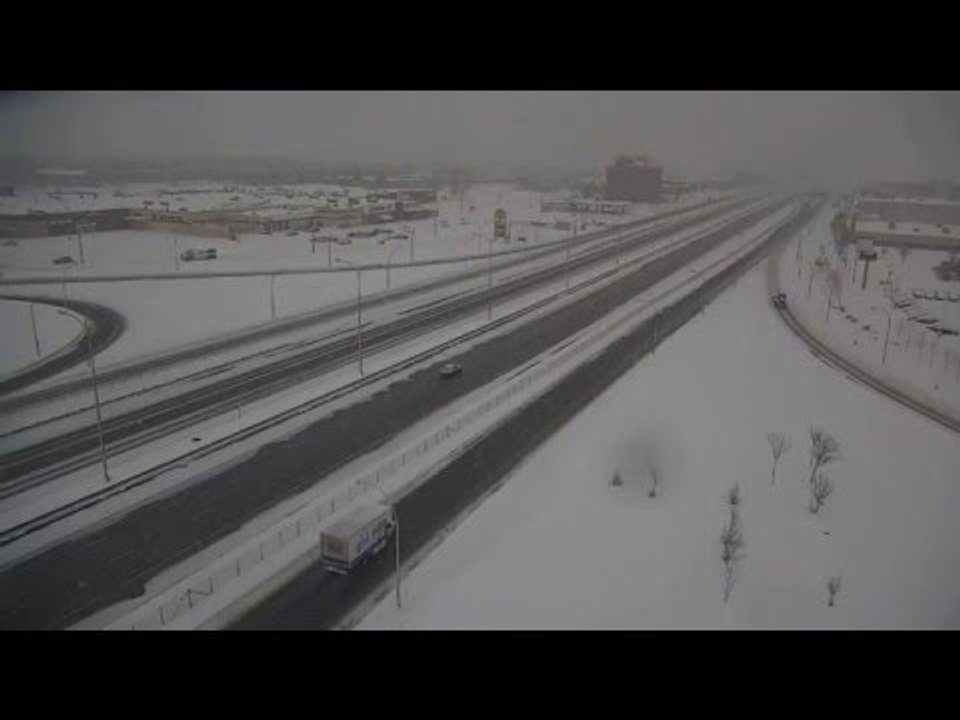 Un harfang des neiges filmé par une caméra de surveillance