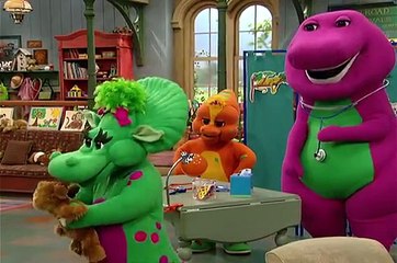 Pets and Vets Barney & Friends