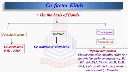 Kinds and Participation of Co-Factor  & Enzyme Substrate Complex