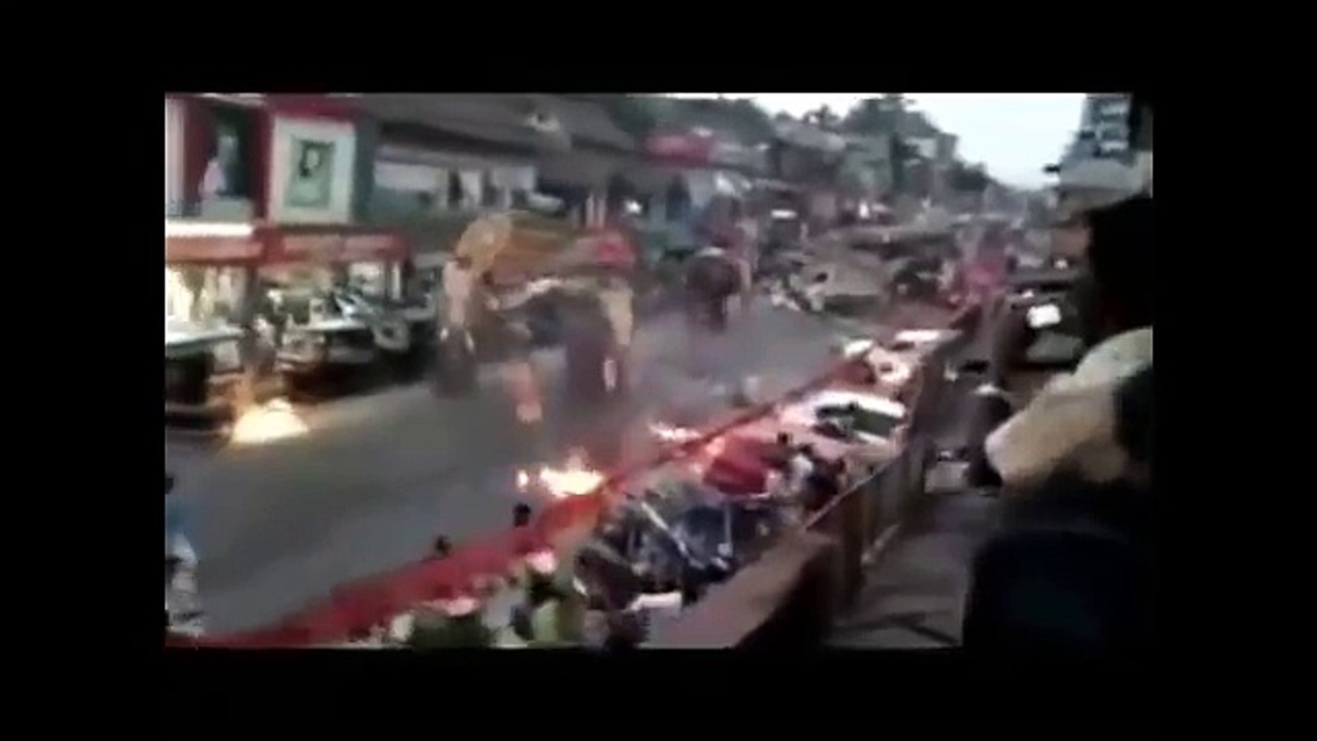 ⁣Dangerous Animals Attack Human - Опасные животные Атака Человека - Video HD