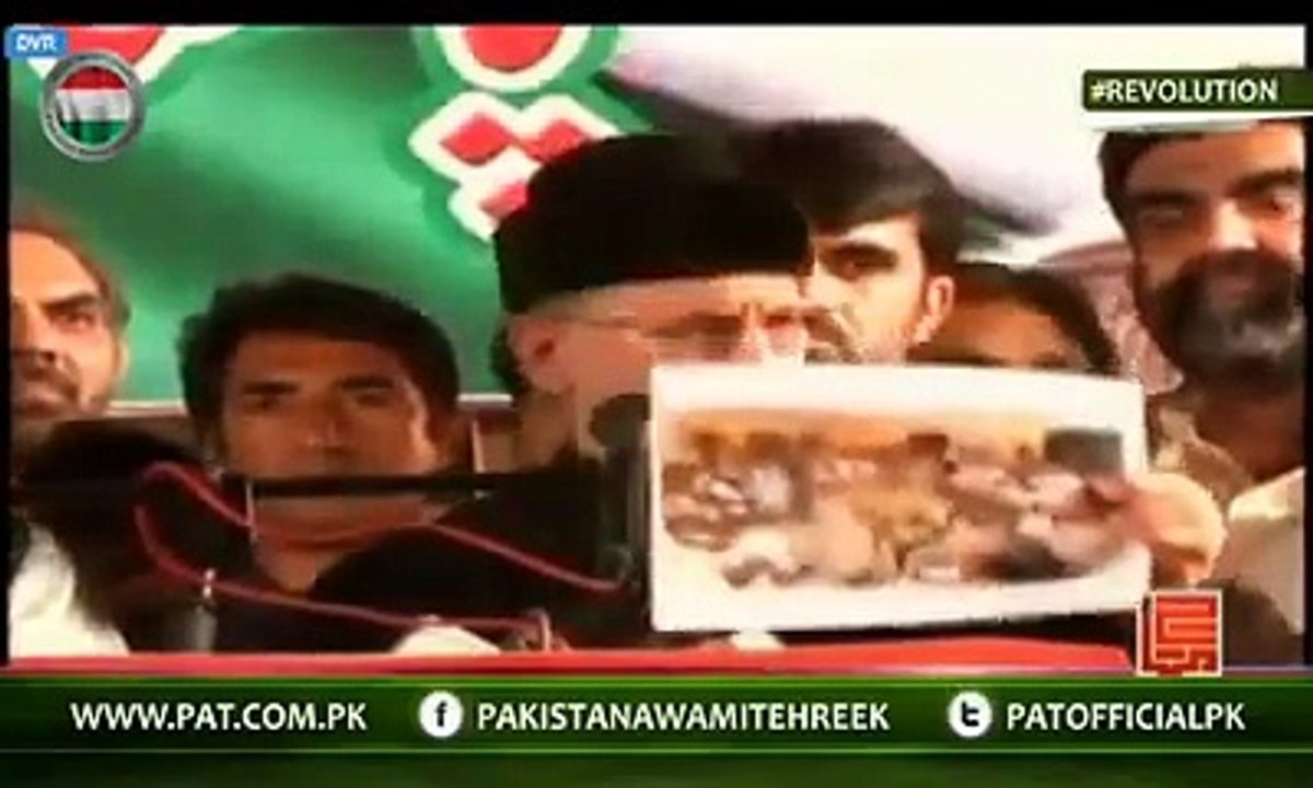 Dr Tahir Padri ki Modi se Muhabbat (Latest)
