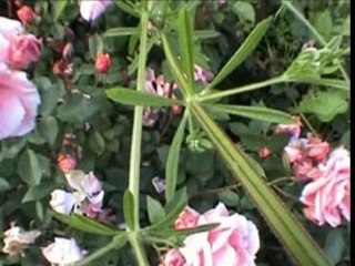 Une bonne claque dans la gueule N8