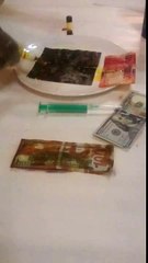 ssd universal chemical solutionSkype milam.dane)