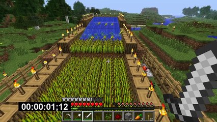 Minecraft за 10 секунд!