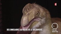 Visite guidée - Palais de la découverte : le retour des dinosaures - 2016/03/03