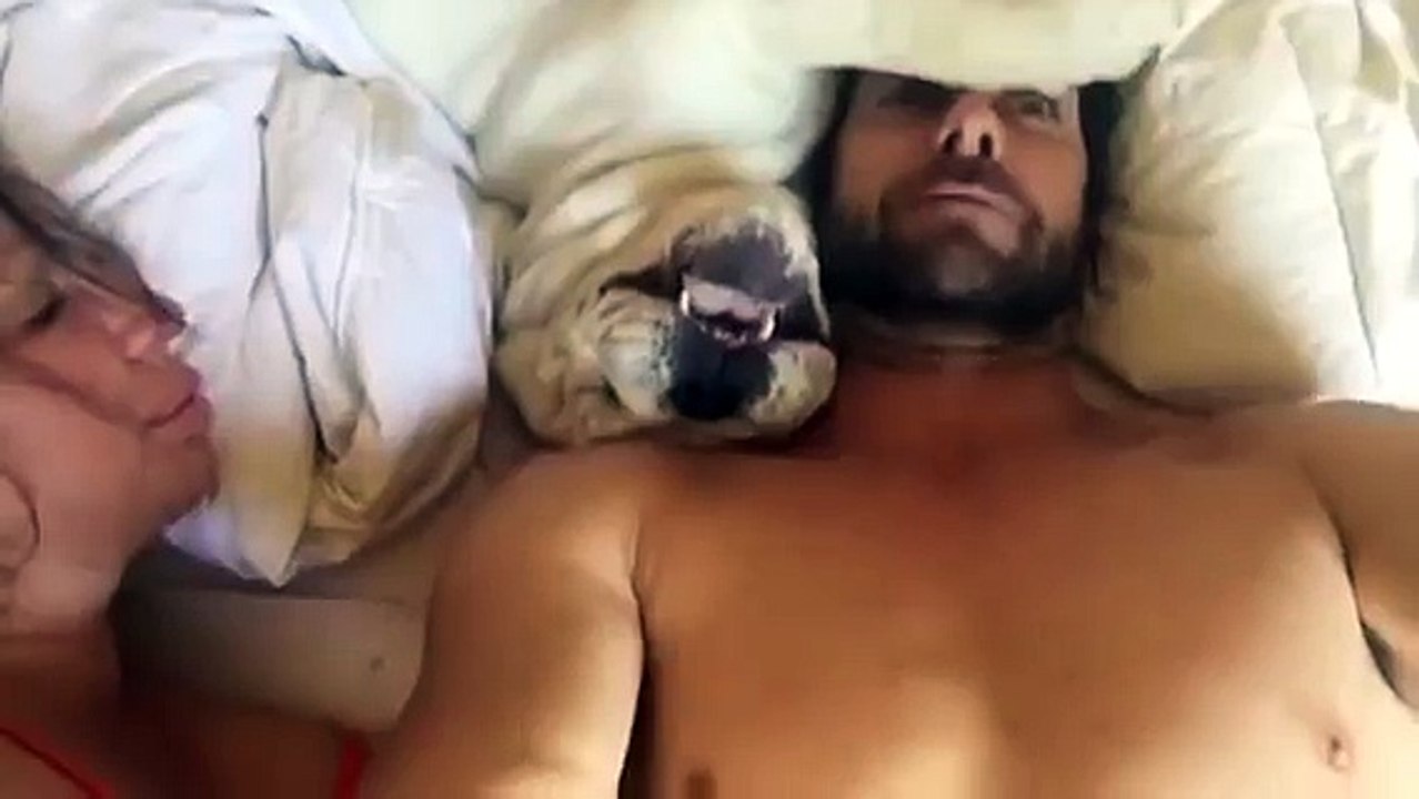 Ce chien fait vraiment des bruits bizarres au réveil