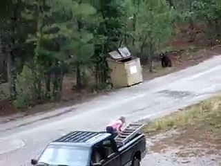 Modern day heroes. Rescuing Bear Babies