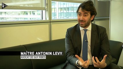 "Un vrai faussaire", portrait de Guy Ribes