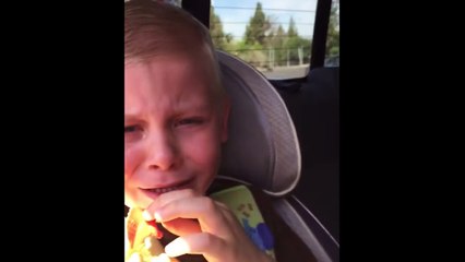 A Dinosaur's Stuck In My Teeth!