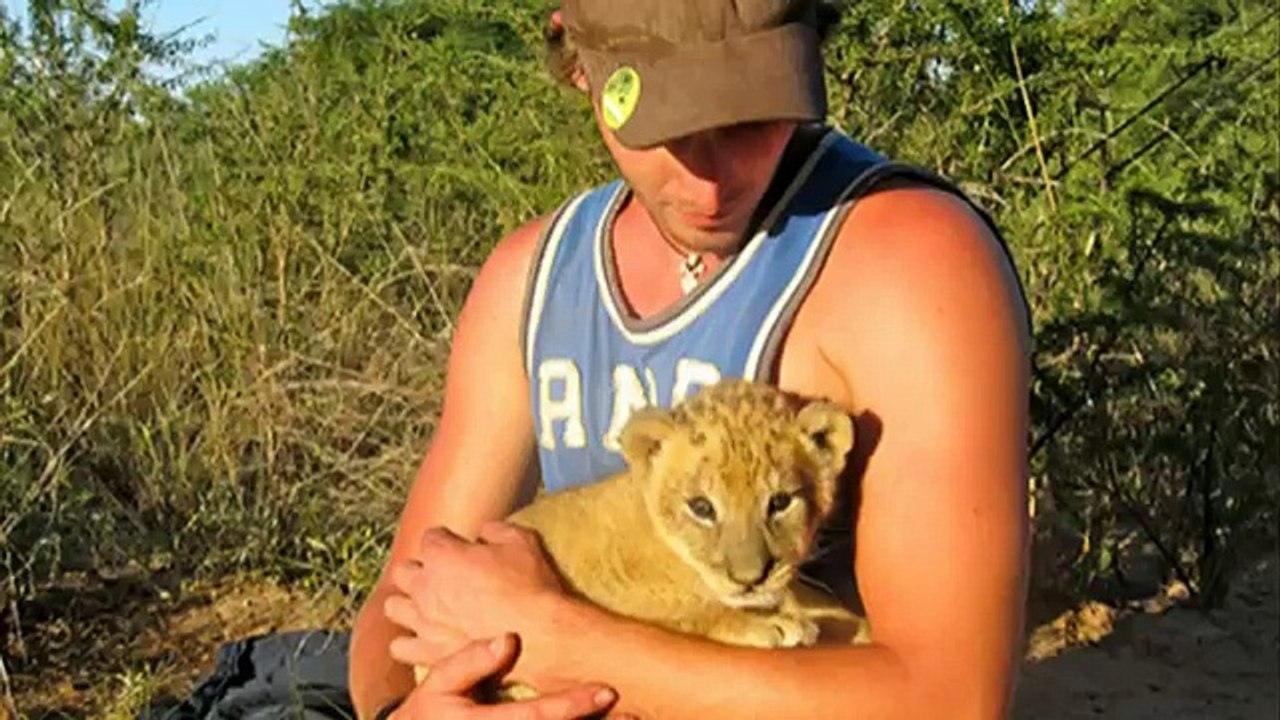 Amazing moment a lioness named Sirga hugs a man who saved her life - YouTube