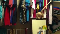 Best funny Cats and Dogs of 2015. Cat fails, Dog fails. Funny pets.