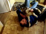 Husky Greets Owner after Long Trip Away