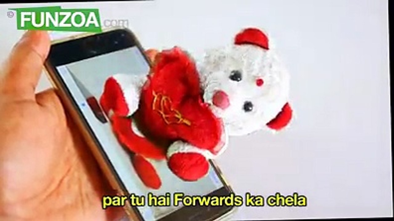funny videos5