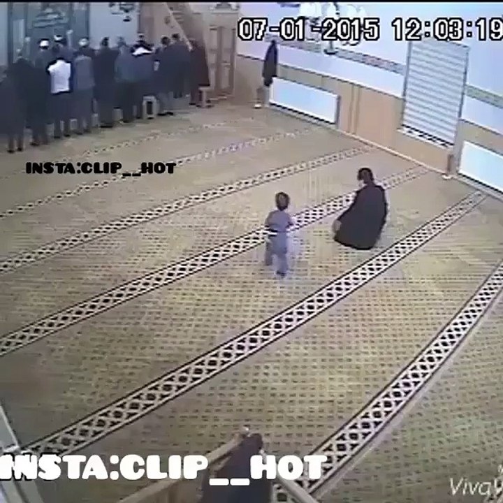 funny videos7
