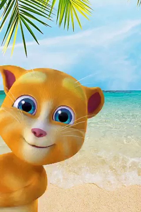 funny videos18
