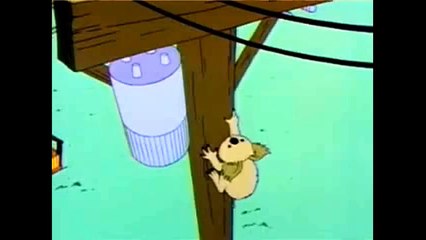 Simpsons Koala