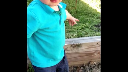 Boy Says Cheese and Falls Over