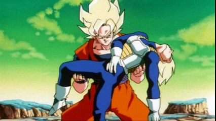 TFS - Vegetas Dick