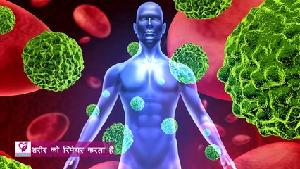 Top 5 Health benefits of Kiwi Fruit In Hindi|जानिए किवी फल के फायदे।