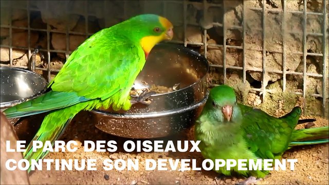 Le parc des oiseaux va encore faire le plein de nouveautés