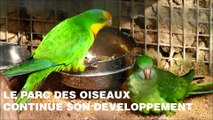 Le parc des oiseaux va encore faire le plein de nouveautés