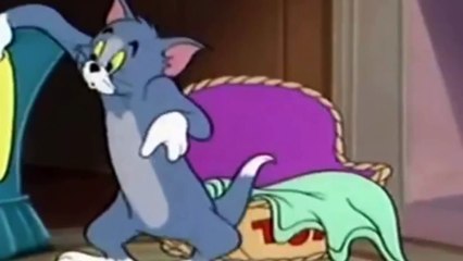 Tom and Jerry with his old friend the elephant high quality