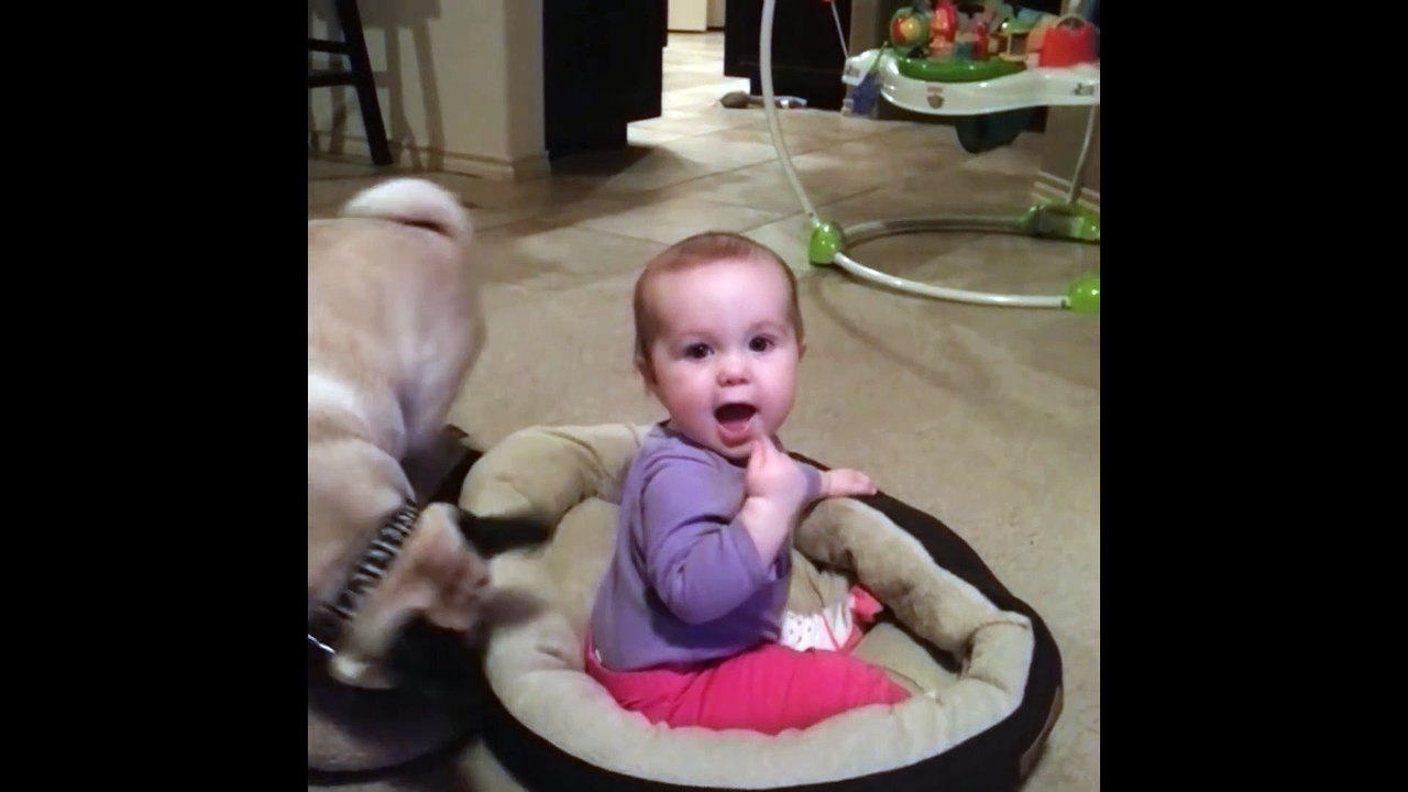 Dog Doesn't Want The Baby In His Bed!