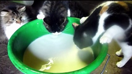 Salon de l'agriculture: "Les agriculteurs doivent reprendre leur autonomie"