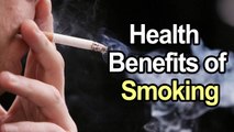 Top 5 Health Benefits of Smoking || Daily Health Tips