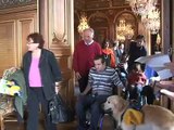 Handichiens  - éducation de chiens dassistance pour personnes handicapées