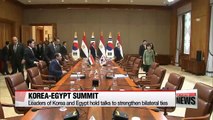 Pres. Park holds summit talks with Egyptian president El-Sisi