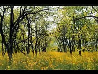 Heart Touching Views of Pakistan