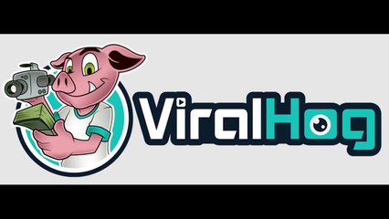 Top 10 ViralHog Videos From February 2016