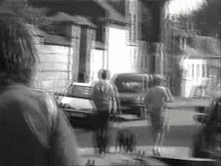 mister royal hash promesses oubliées