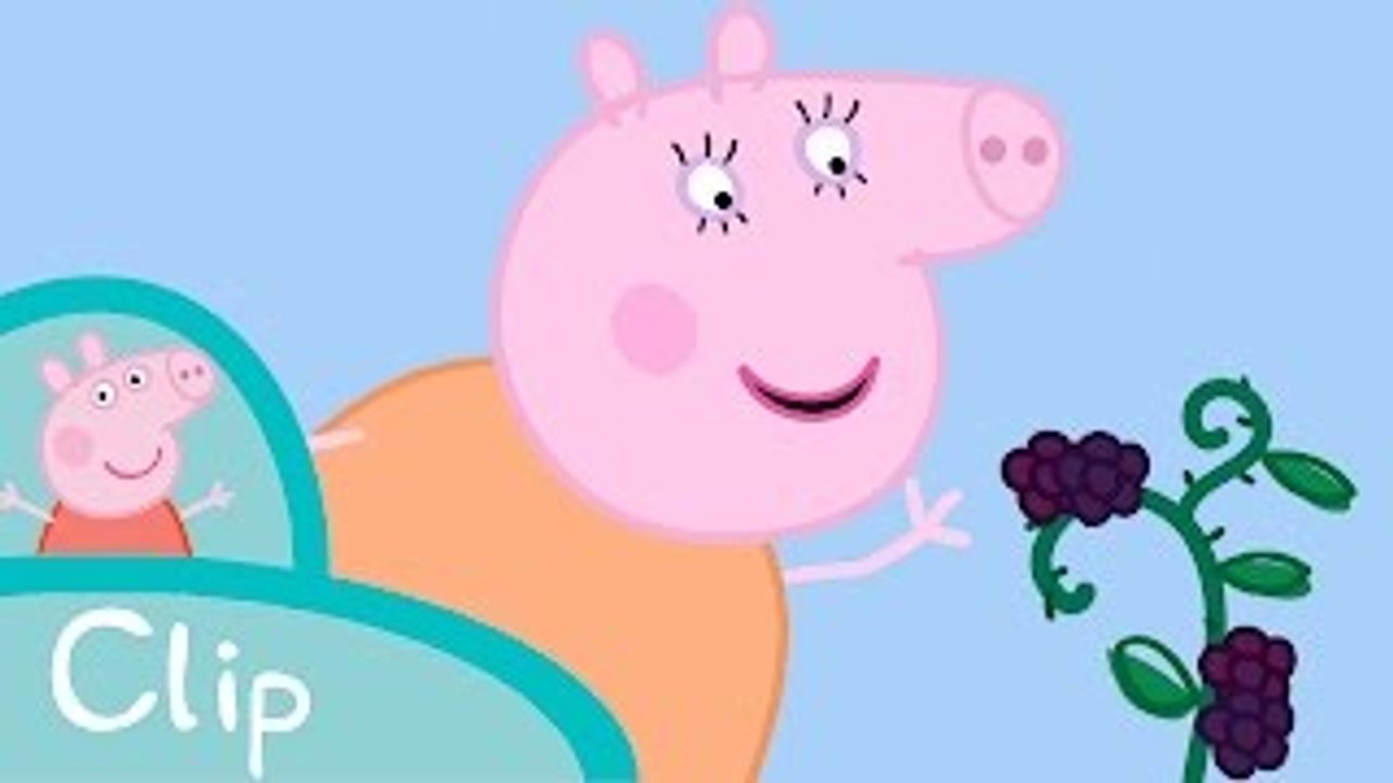 Peppa Pig - Mummy Pig In The Blackberry Bush (Clip)