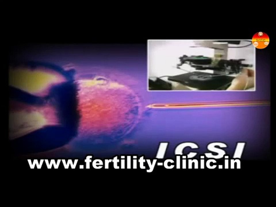 In vitro fertilization, IVF pregnancy India, ivf success rate, ivf process