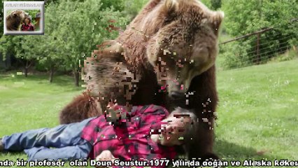 Boz Ayı  ve İnsan Dostluğu-Dev ayının sevimli halleri