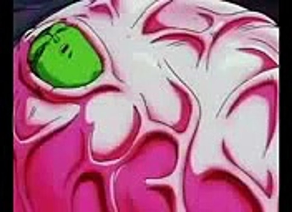 Dragon Ball Z Goku And Vegita Inside The Majin Boo In Hindi Video.(Cool video).