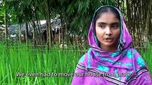 Bangladesh in pursuit of Sustainable Development