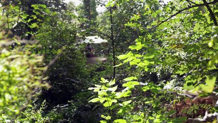 Une communauté qui vit dans les bois en Angleterre sur le point de se faire virer de la foret