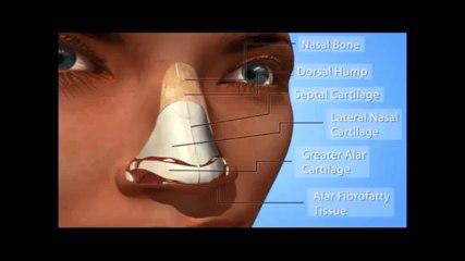 Ankara burun estetiği