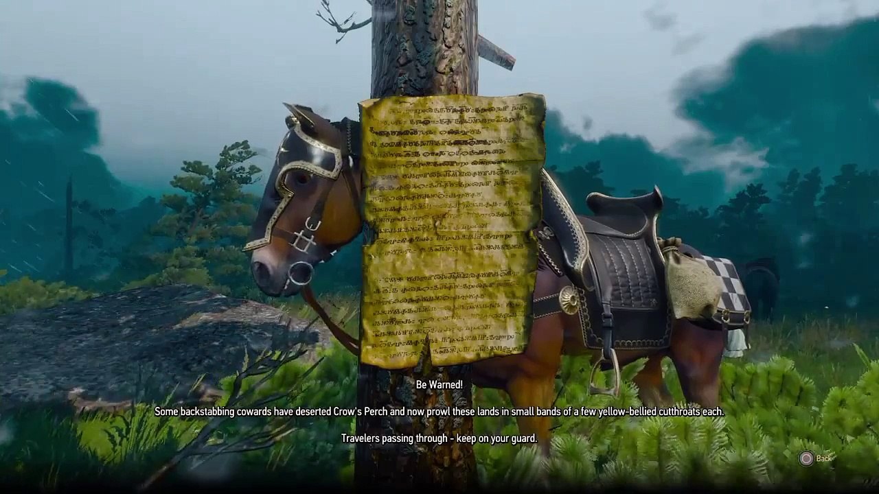 The witcher 3 - part 25