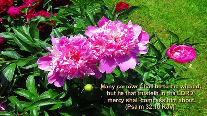 PITA NE JAGAT SE PREM