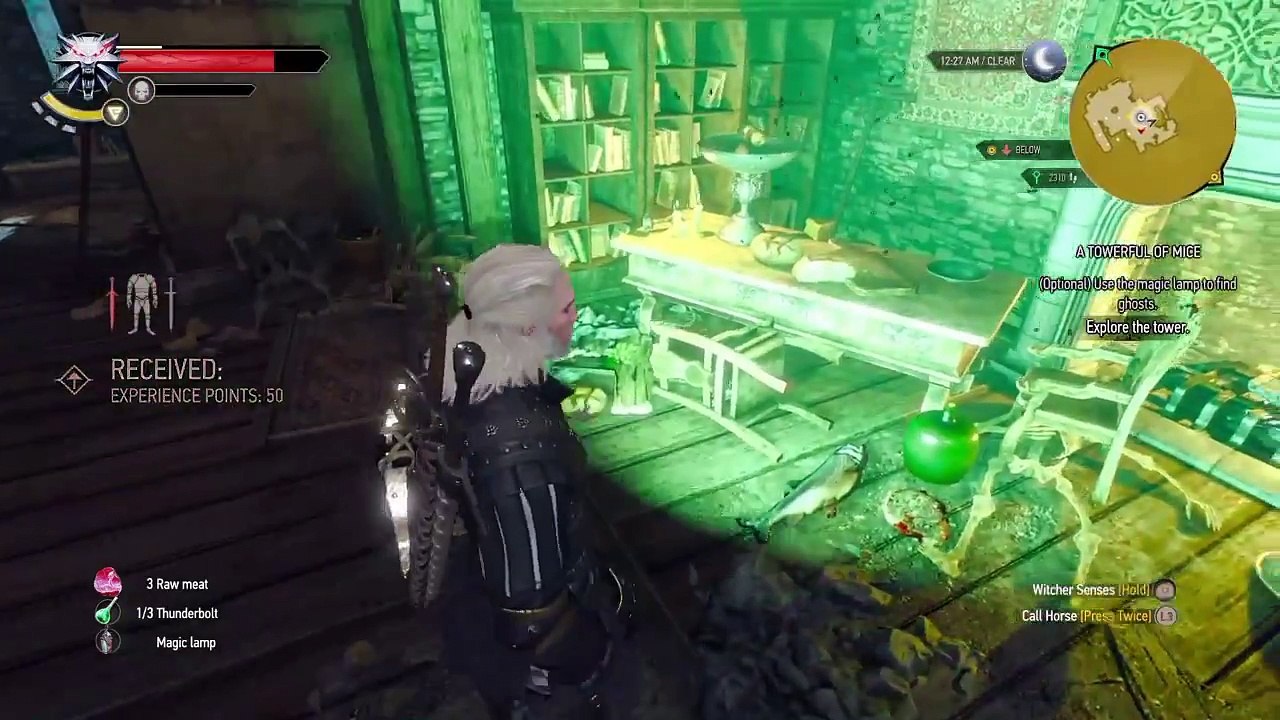The witcher 3 - part 24